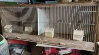 Zuchtbox Käfig für Finken oder Kanarienvögel zu verschenken Nordrhein-Westfalen - Blomberg Vorschau