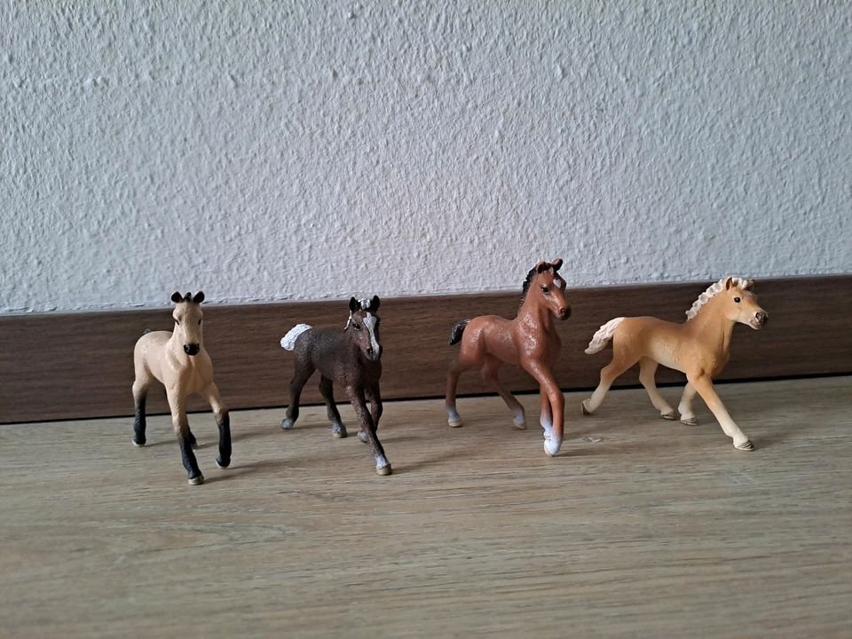 Schleich Pferde, Tiere, Menschen, Futter, Zubehör in Lunden