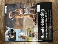 Hunde Shooting Buch für Fotografen Dithmarschen - Buesum Vorschau