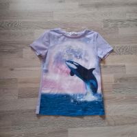 Tshirt Shirt kurzarm Gr 158/164 H&M Mecklenburg-Strelitz - Landkreis - Friedland Vorschau