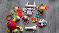 Babyspielzeug Esel Emmi Girl Sterntaler Maxi Cosi Babyschale Schleswig-Holstein - Itzehoe Vorschau