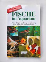 Fische im Aquarium Rheinland-Pfalz - Zell (Mosel) Vorschau