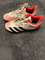 Adidas Predator Schuhe Gr.33 1/2 Niedersachsen - Wriedel Vorschau