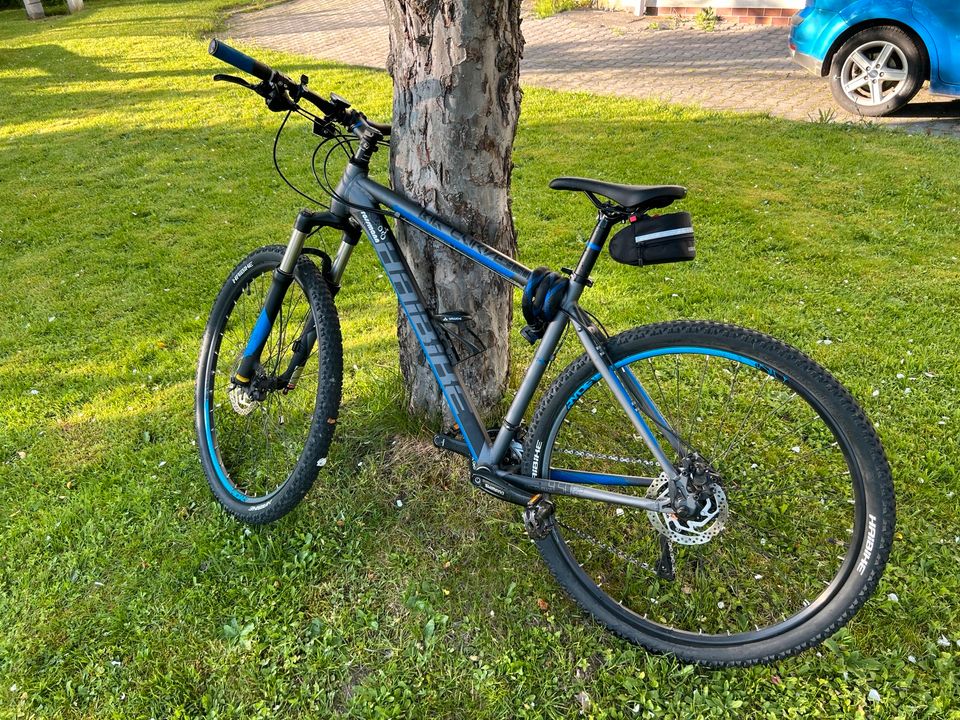 Haibike Big Curve 9.50 29 Zoll Mountainbike in Oberviechtach