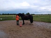 Pferdegestütztes Coaching für Kinder und Erwachsene Niedersachsen - Lauenhagen Vorschau