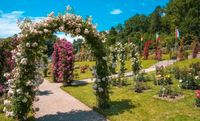 Gartenarbeit,Hecke schneiden, Unkraut entfernen, Gärtner Bonn - Beuel Vorschau