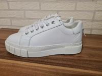 GOOD NEWS Sneaker Damenschuhe Gr. 37 wie Neu Brandenburg - Strausberg Vorschau