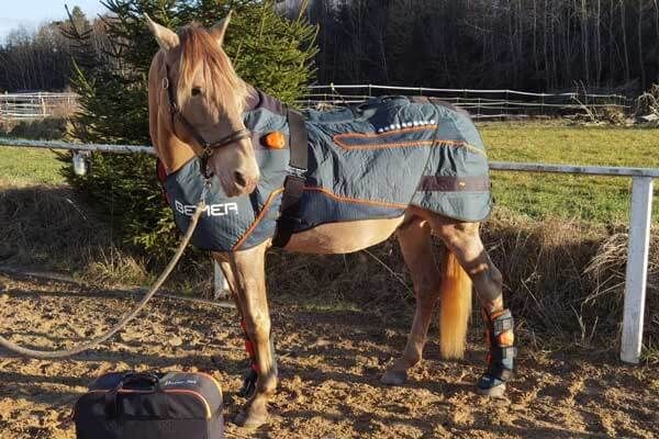 Equusir & Bemer Pferd & Mensch Decke, Gamaschen, Matte, Gurt, … in  Baden-Württemberg - Rot an der Rot | eBay Kleinanzeigen ist jetzt  Kleinanzeigen