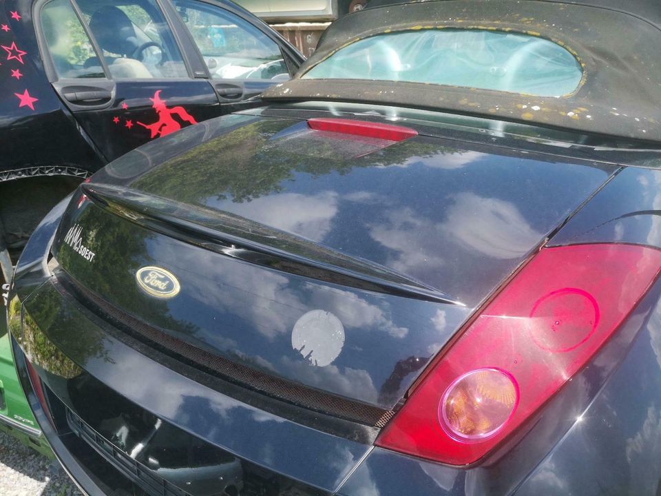 Heckklappe - Ford StreetKa Cabrio - Schwarz Kofferraum Deckel in  Nordrhein-Westfalen - Lippstadt | Ersatz- & Reparaturteile | eBay  Kleinanzeigen ist jetzt Kleinanzeigen