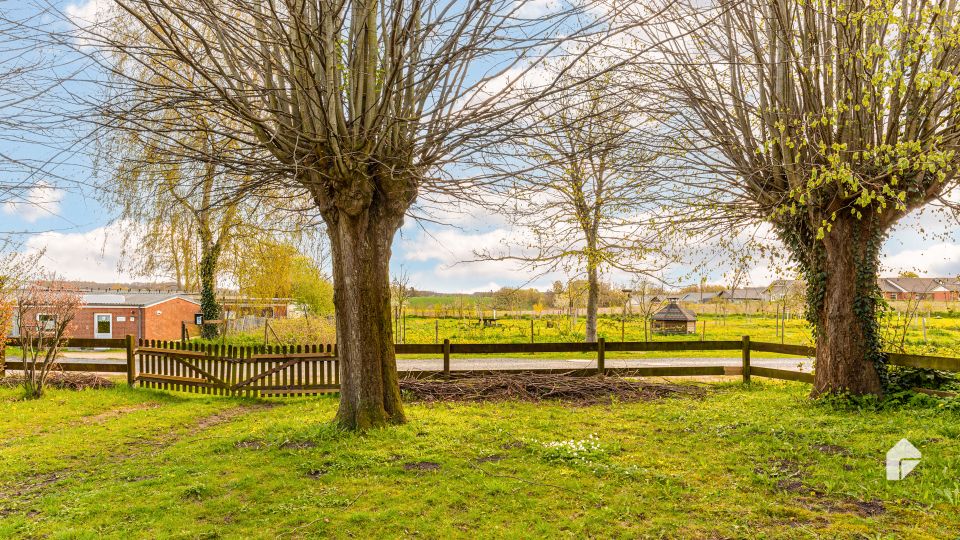 Viel Platz für die Familie: 3-Zi.- EFH mit großem Garten in ruhiger Lage in Sörup zu verkaufen in Sörup