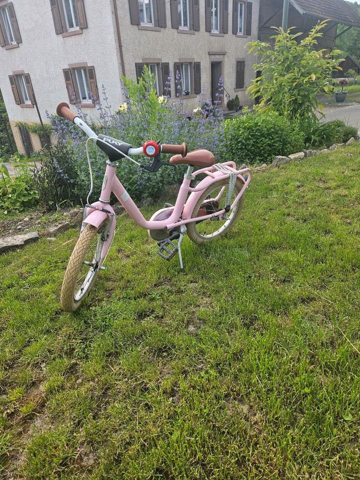 Puky Steel Classic Kinderfahrrad 16 Zoll in Wehr