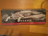 Katzen,Kalender,katze,2024,Tischkalender,literatur Hessen - Offenbach Vorschau