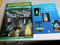 Lourdes, als Pilger mit Pilgern unterwegs Rheinland-Pfalz - Büdesheim Vorschau