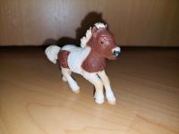 Schleich Pferd - Shetlandpony Fohlen (13608) Hessen - Homberg (Efze) Vorschau