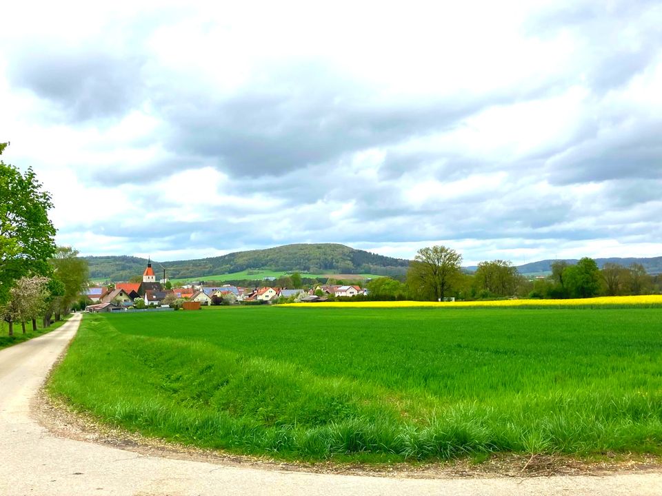 landwirtschaftliches Grundstück mit Perspektive in Berching-Erasbach in Berching