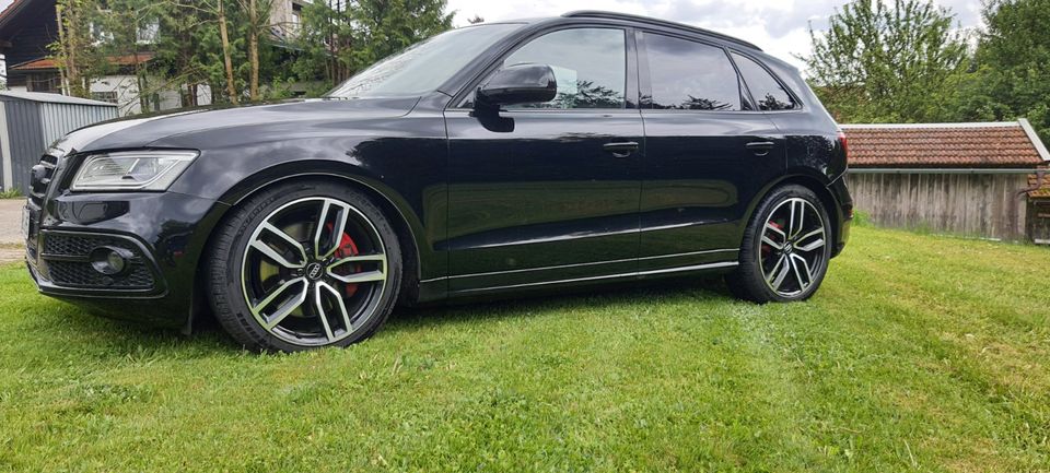 ⚡ Audi SQ5 Plus 3.0TDI Quattro Biturbo 8 Gang Tiptronic 2 Hand in Grafenau