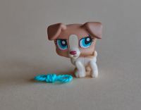 Littlest Pet Shop LPS Jack Russel #1302 Sendling - Obersendling Vorschau