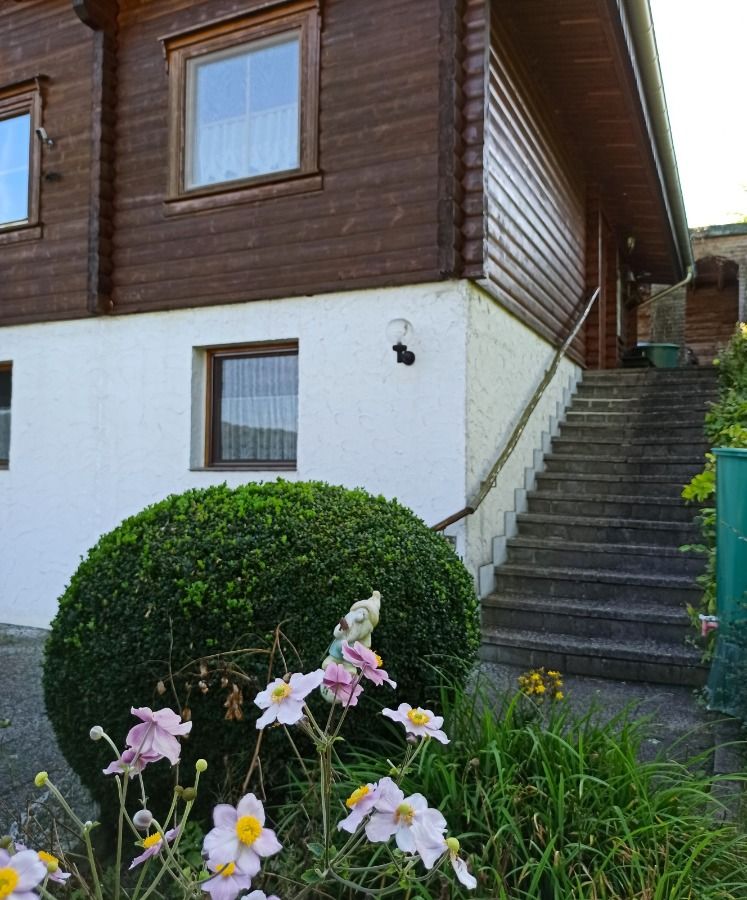 Wohlfühlen in der Natur+Gemütliches Holzhaus mit Einliegerwohnung im Harz, Bad Sachsa/Steina in Bad Sachsa