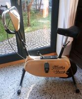 Kettler Trimmrad CARAT Retro Vintage funktionstüchtig Gartenbank Nordrhein-Westfalen - Moers Vorschau