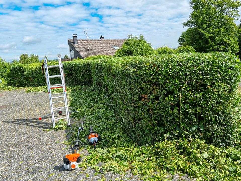 Hecken schneiden / Sträucher schneiden/ Rückschnitt/ Häckseln in Neustadt (Wied)