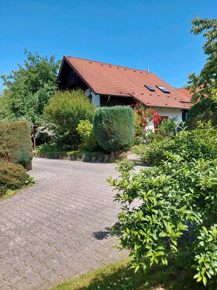 Property thumbnail 17