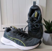 Puma Sportschuhe, Sneaker, Laufschuhe Niedersachsen - Neustadt am Rübenberge Vorschau