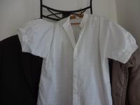 Bluse Baumwolle mit Puffärmel  Gr XL  u.w. Cecil  Karoblusen Gr L Nordrhein-Westfalen - Verl Vorschau