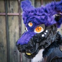 Drachen fursuit Nordrhein-Westfalen - Balve Vorschau