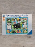 Ravensburger Premium Puzzle 500 Hunde Welpen Collage Sommer Hessen - Eschenburg Vorschau