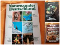 3 Bücher, Bildbände, Kochbuch Niedersachsen - Bippen Vorschau