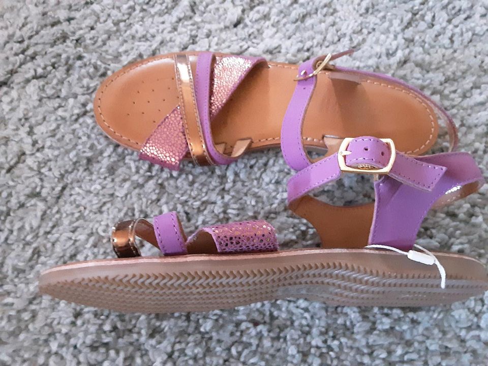 Mädchen Sandalen Schuhe Geox 37 Leder neu in Heidesheim