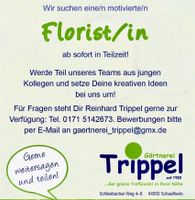 Florist/in Hessen - Groß-Umstadt Vorschau