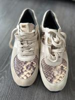 Michael Kors Sneaker. Größe 38 Leder Nordrhein-Westfalen - Solingen Vorschau