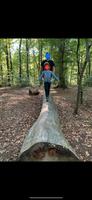 Suche Waldgrundstück Waldfläche zum Kauf ☘️ Nordrhein-Westfalen - Meckenheim Vorschau