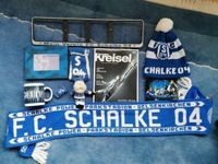 Schalke04 Fan Paket 27 Teile Niedersachsen - Sachsenhagen Vorschau