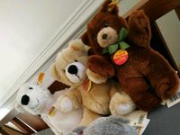 Steiff Tiere & Steiff baby decke hellblau Hessen - Kriftel Vorschau