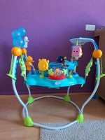 Bright Starts, Disney Baby, Findet Nemo Spring- und Spielcenter Düsseldorf - Heerdt Vorschau