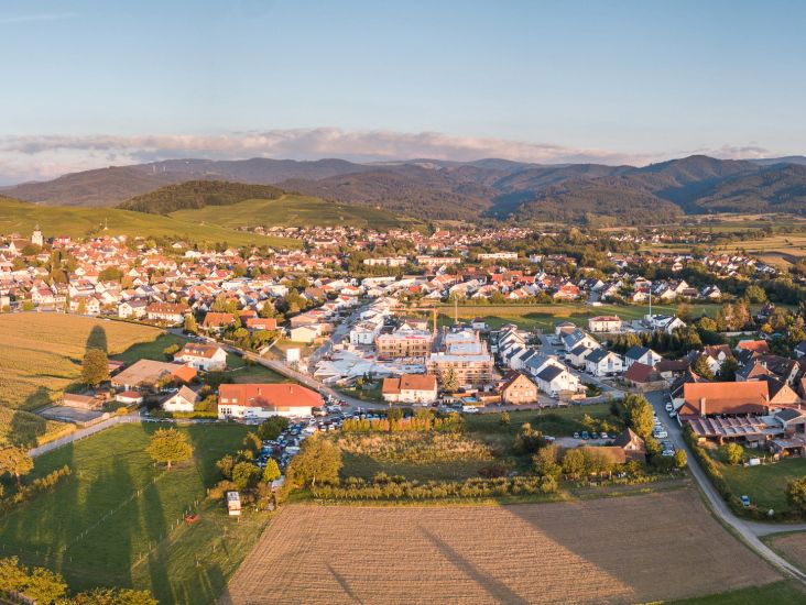 Wohnen und wohlfühlen: 2-Zi-Erdgeschosswohnung mit Südausrichtung #201 in Ehrenkirchen