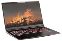 Gaming Notebook mit 17,3"FHD 144Hz, i7-10750H, RTX3060, 16GB Schleswig-Holstein - Lübeck Vorschau