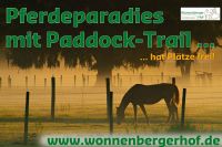 Paddock-Trail, Offenstall, Laufstall - Plätze Rheinland-Pfalz - Urbach Westerw Vorschau