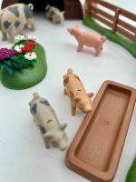 ♥️ Playmobil Schweinestall Schleswig-Holstein - Elmshorn Vorschau