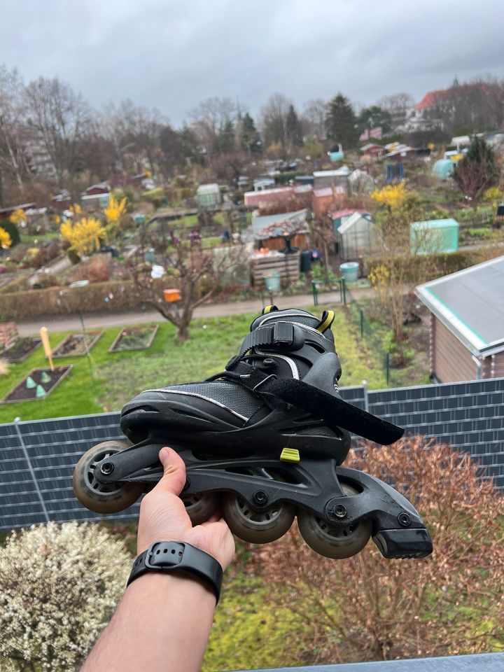 inline skates in Dresden