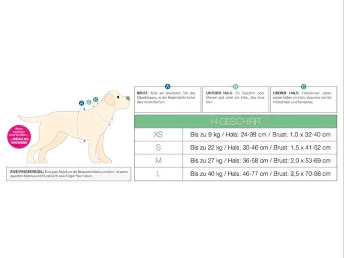 Neu Max & Molly Comic Hundegeschirr Größe M in Neu Ulm