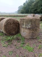 19 Stück Heuballen Mist ausstreuen Schleswig-Holstein - Neumünster Vorschau