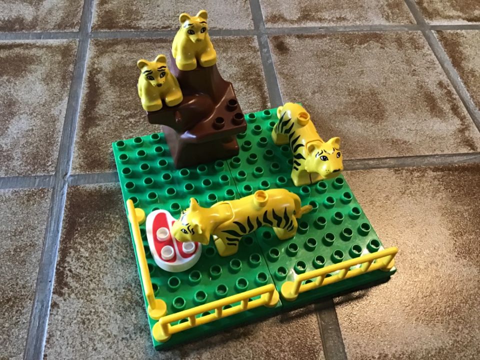 Lego Duplo Zoo 3D Kletterbaum Tigerfamilie Platten Zäune Fleisch in Kempen