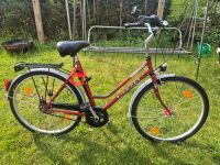 Damenfahrrad Diamant Opal City 26zoll 3Gänge Sachsen - Zwickau Vorschau