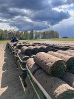 Rollrasen Abholung in Gerdau Niedersachsen - Edewecht Vorschau