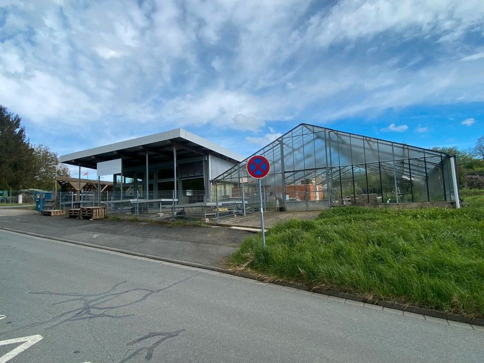 Gartenlandschaftsbau Areal - Blumenladen in Roßdorf