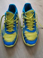 Asics Elite FF Grün/Blau Gr. 43,5 Baden-Württemberg - Kehl Vorschau