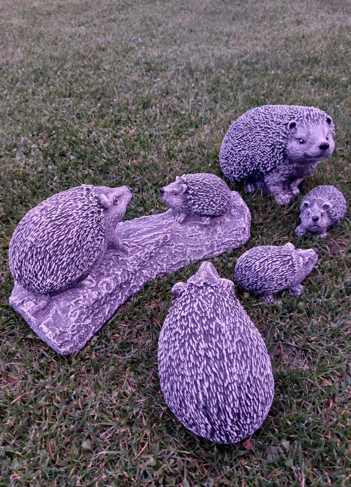 Igel Betondeko Tierfigur Gartenfigur Gartendeko Skulptur Steinguß in Halsbach